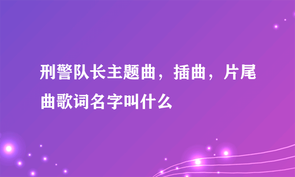 刑警队长主题曲，插曲，片尾曲歌词名字叫什么