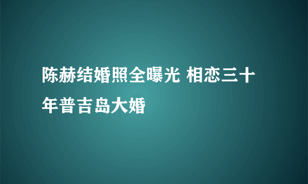 陈赫结婚照全曝光 相恋三十年普吉岛大婚