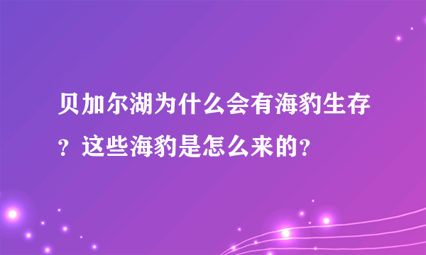 贝加尔湖为什么会有海豹生存？这些海豹是怎么来的？