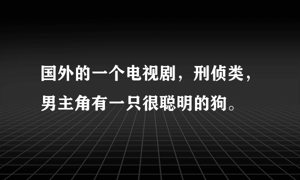 国外的一个电视剧，刑侦类，男主角有一只很聪明的狗。