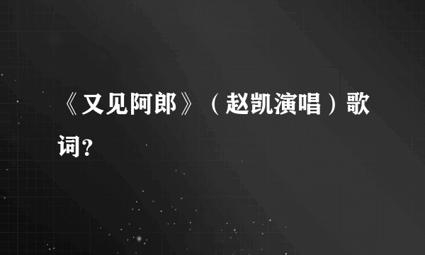 《又见阿郎》（赵凯演唱）歌词？