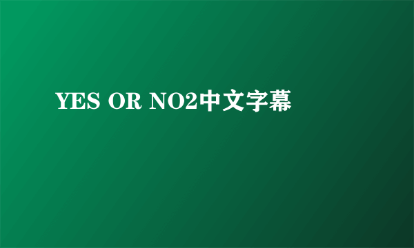 YES OR NO2中文字幕