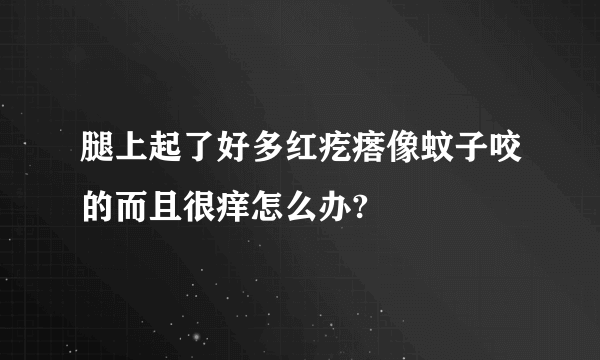 腿上起了好多红疙瘩像蚊子咬的而且很痒怎么办?