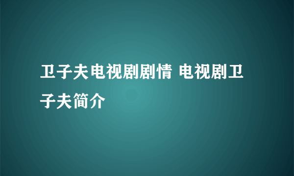 卫子夫电视剧剧情 电视剧卫子夫简介