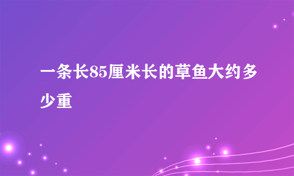 一条长85厘米长的草鱼大约多少重