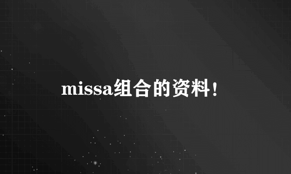 missa组合的资料！