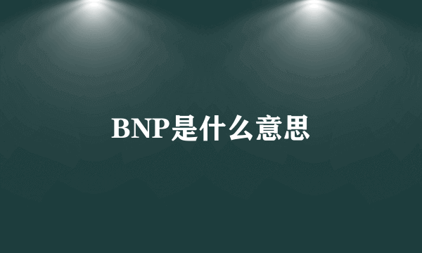 BNP是什么意思