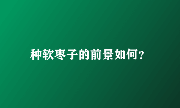 种软枣子的前景如何？