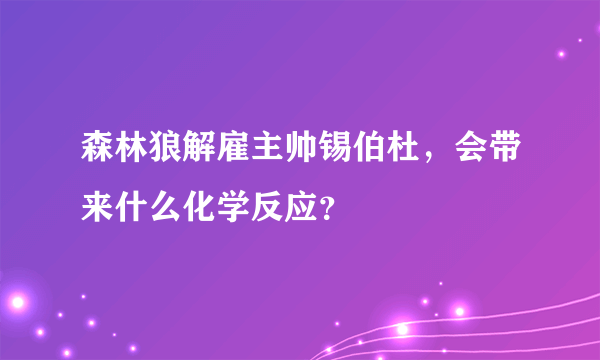 森林狼解雇主帅锡伯杜，会带来什么化学反应？