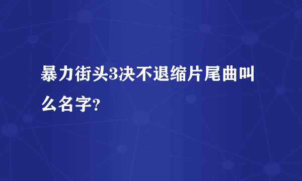 暴力街头3决不退缩片尾曲叫么名字？