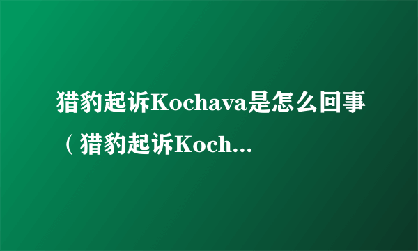 猎豹起诉Kochava是怎么回事（猎豹起诉Kochava事件详情一览）