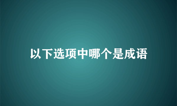 以下选项中哪个是成语