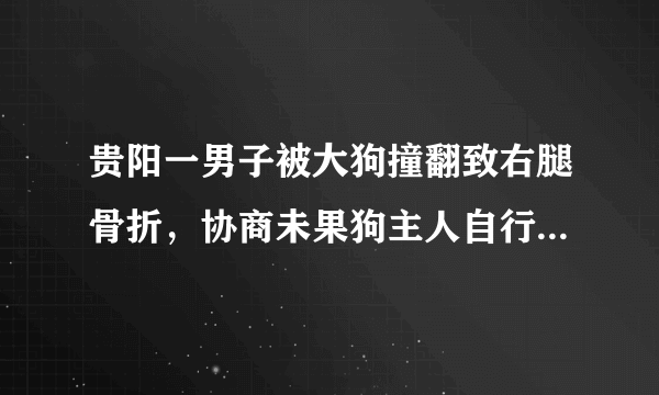 贵阳一男子被大狗撞翻致右腿骨折，协商未果狗主人自行离开, 你怎么看？