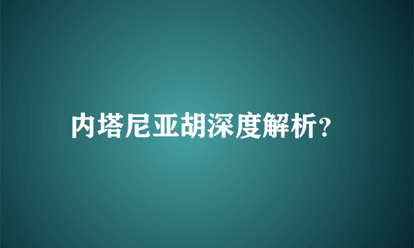 内塔尼亚胡深度解析？