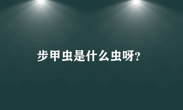 步甲虫是什么虫呀？