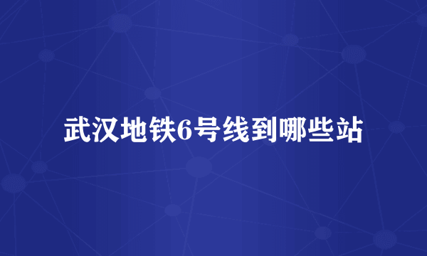 武汉地铁6号线到哪些站