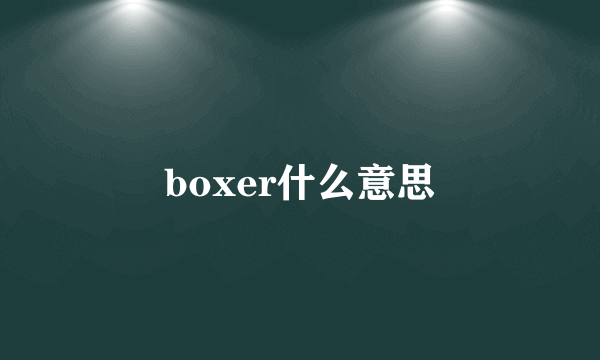 boxer什么意思