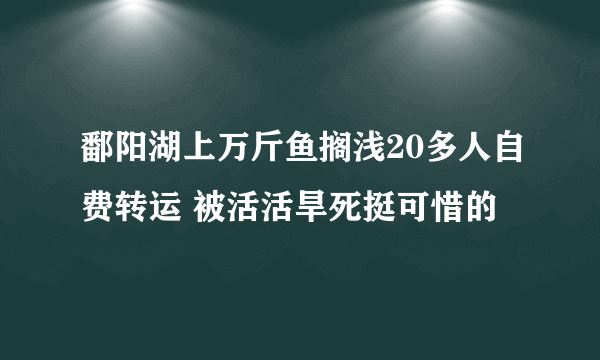 鄱阳湖上万斤鱼搁浅20多人自费转运 被活活旱死挺可惜的