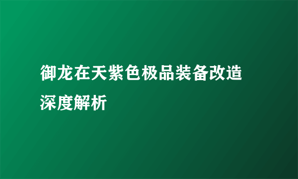 御龙在天紫色极品装备改造 深度解析