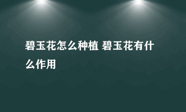 碧玉花怎么种植 碧玉花有什么作用