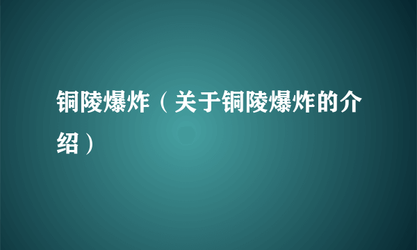 铜陵爆炸（关于铜陵爆炸的介绍）