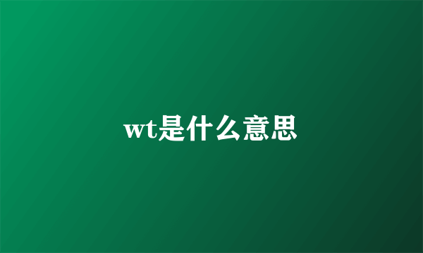 wt是什么意思