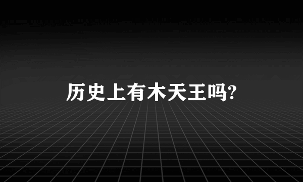 历史上有木天王吗?