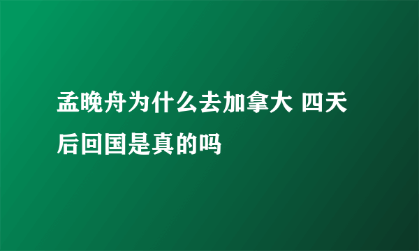 孟晚舟为什么去加拿大 四天后回国是真的吗