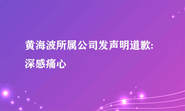 黄海波所属公司发声明道歉:深感痛心