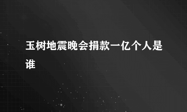 玉树地震晚会捐款一亿个人是谁