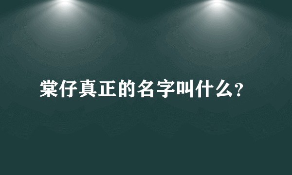 棠仔真正的名字叫什么？