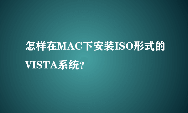 怎样在MAC下安装ISO形式的VISTA系统？