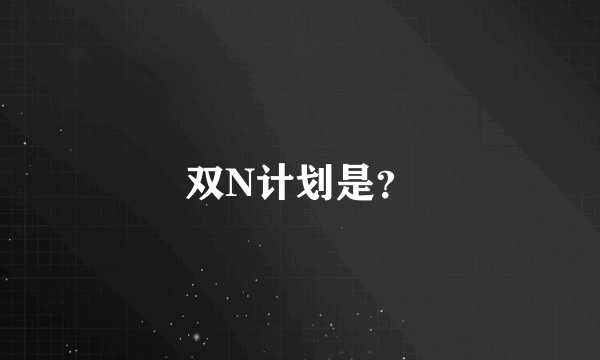 双N计划是？