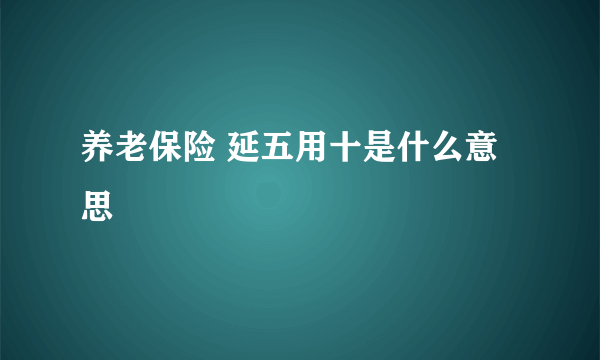 养老保险 延五用十是什么意思