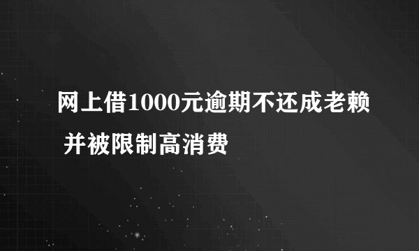 网上借1000元逾期不还成老赖 并被限制高消费