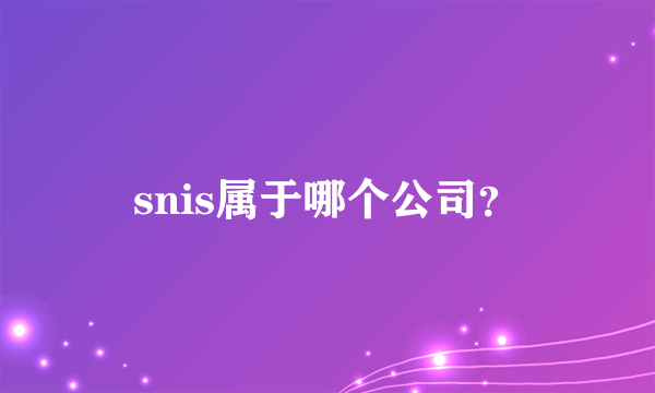 snis属于哪个公司？