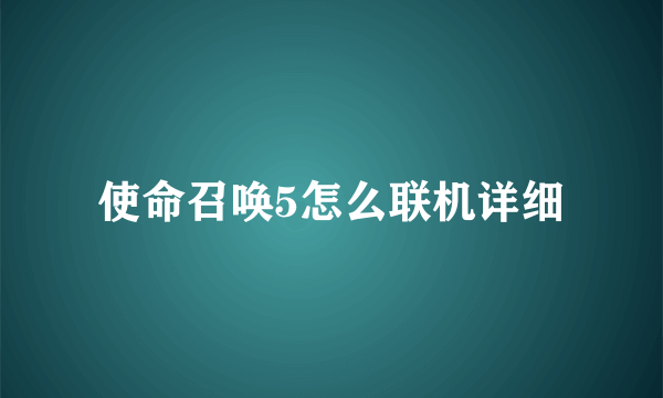 使命召唤5怎么联机详细