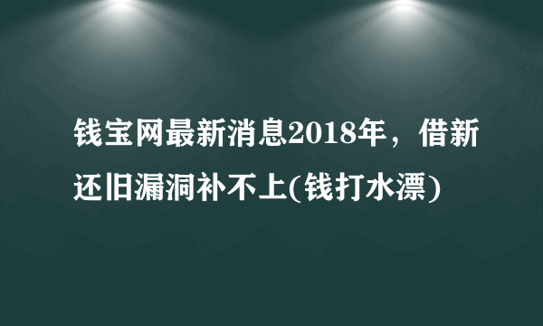 钱宝网最新消息2018年，借新还旧漏洞补不上(钱打水漂)