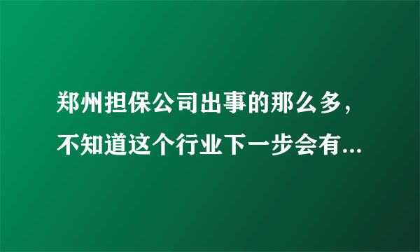 郑州担保公司出事的那么多，不知道这个行业下一步会有什么样的发展趋...