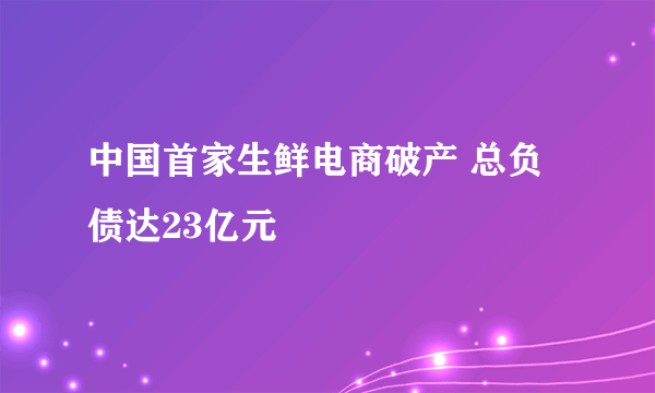 中国首家生鲜电商破产 总负债达23亿元