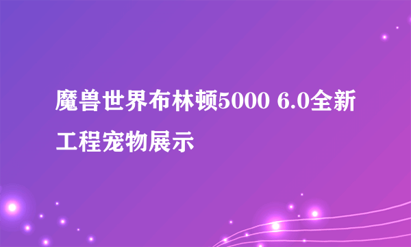 魔兽世界布林顿5000 6.0全新工程宠物展示