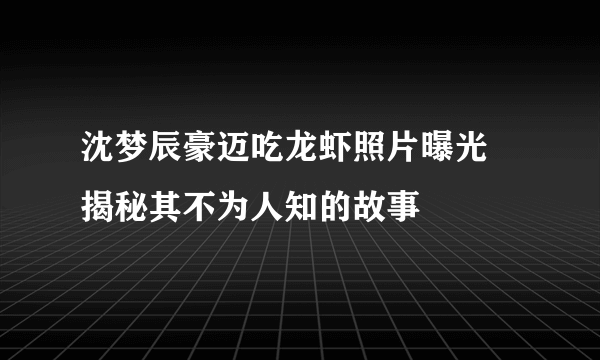 沈梦辰豪迈吃龙虾照片曝光 揭秘其不为人知的故事