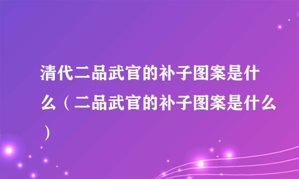 清代二品武官的补子图案是什么（二品武官的补子图案是什么）