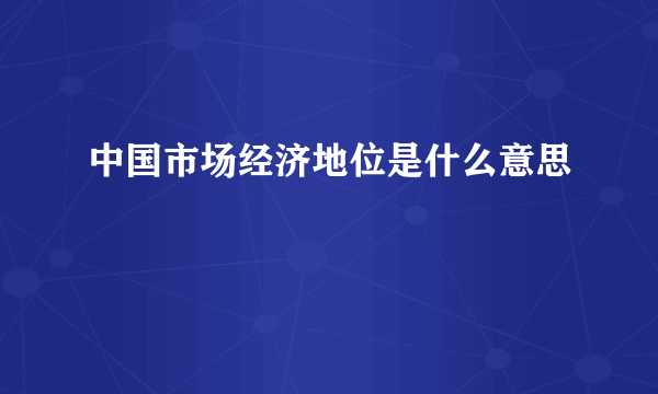 中国市场经济地位是什么意思