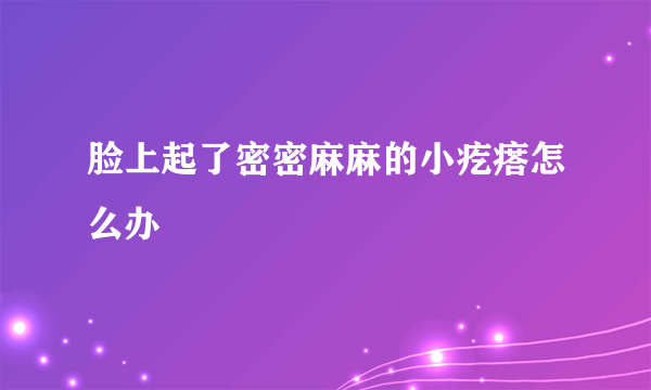 脸上起了密密麻麻的小疙瘩怎么办