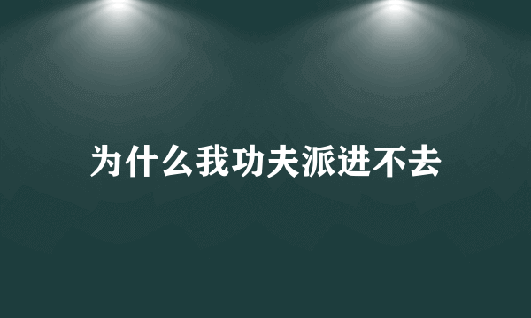 为什么我功夫派进不去