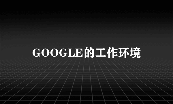 GOOGLE的工作环境