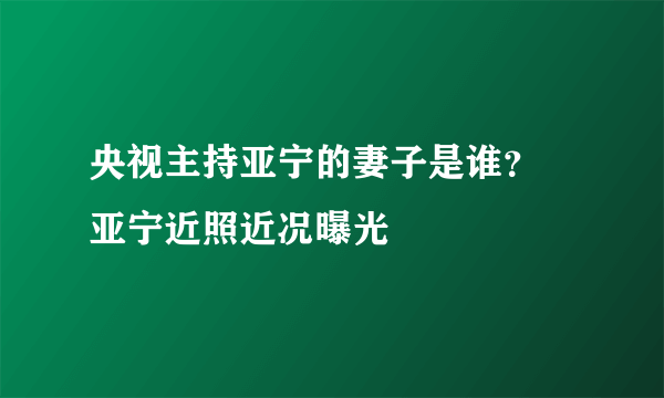 央视主持亚宁的妻子是谁？ 亚宁近照近况曝光