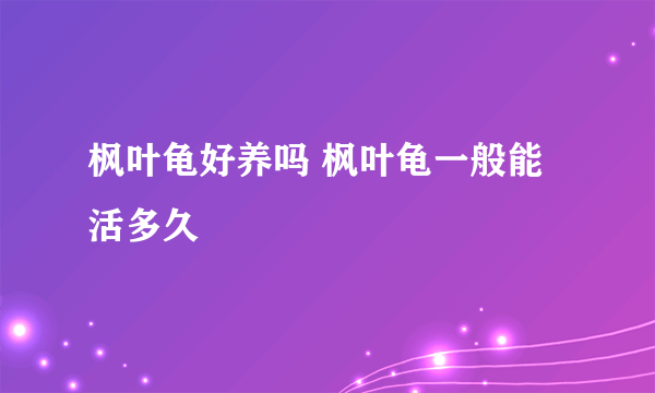 枫叶龟好养吗 枫叶龟一般能活多久