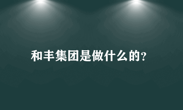 和丰集团是做什么的？